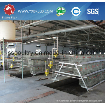 Fully Automatic Battery Chicken Broiler Cage